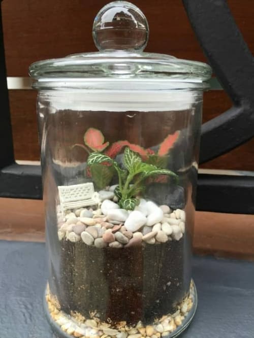 Closed Terrarium - (Credit: Ecoponics)