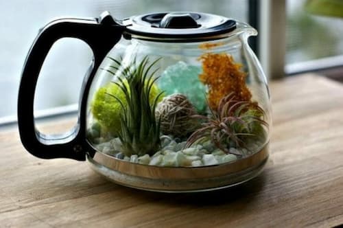 Creative Terrarium Type - (Credit: A Charming Project)