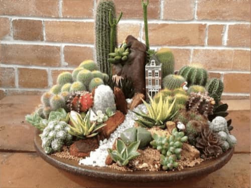 Dish Terrarium - (Credit: The Scape Place Blog)
