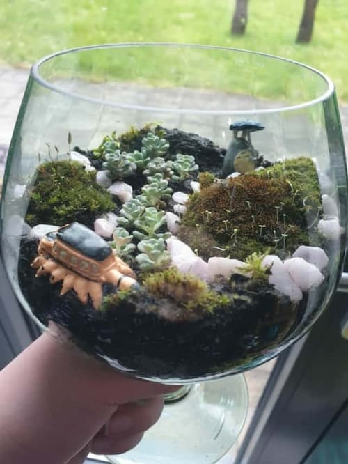 Open Terrarium Type - (Credit: Reddit)