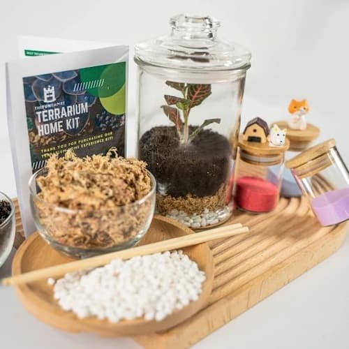 Terrarium Making Home Kit - DIY Singapore